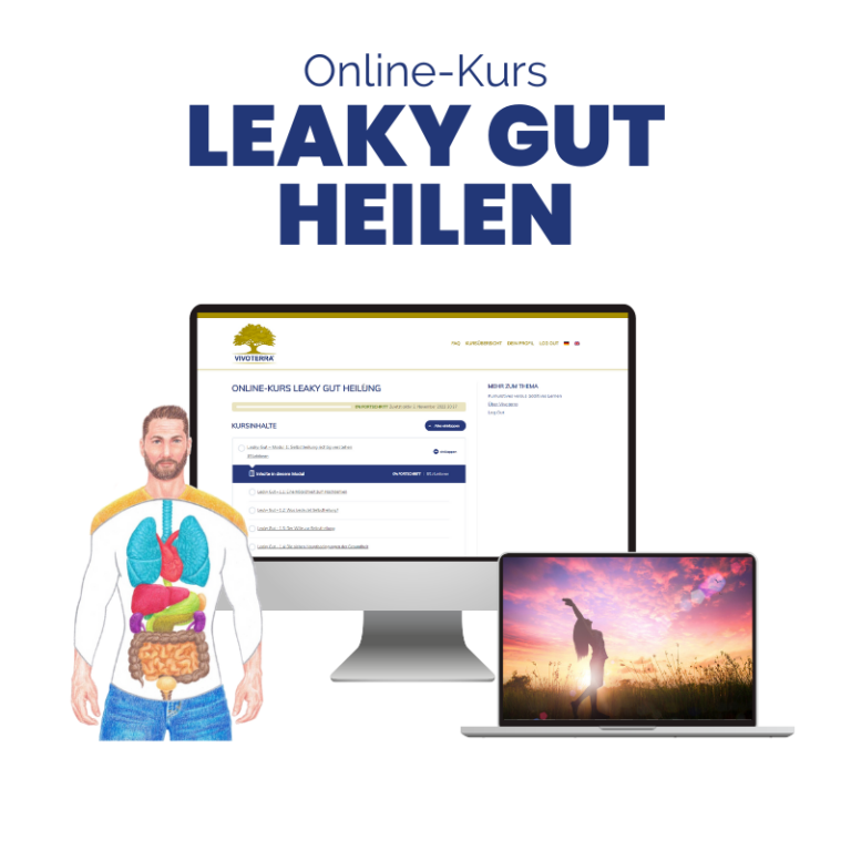 online-kurs-leaky-gut-heilung