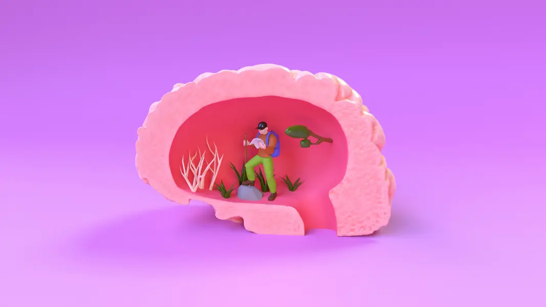 Illustration eines menschlichen Gehirns, das eine wandelnde Figur zeigt, die durch eine Landschaft mit Pflanzen und Felsen erkundet. Der Hintergrund ist in einem sanften Rosa gehalten, was dem Bild eine beruhigende Atmosphäre verleiht und die Verbindung zwischen Gehirnfunktion und Naturerfahrung symbolisiert.